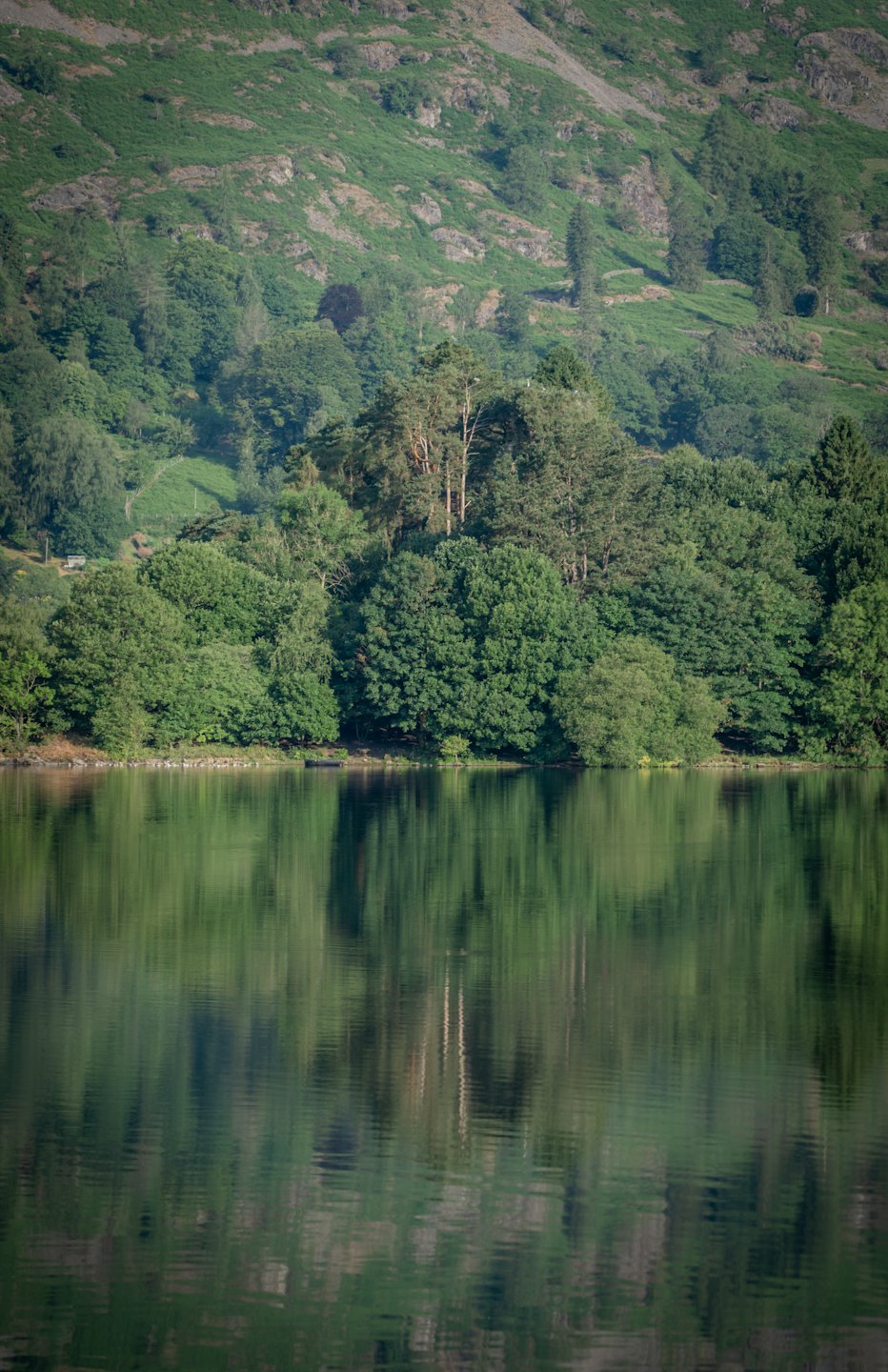 Calm water reflects green trees and a rocky, vegetated hillside.